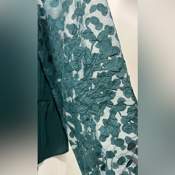 Organza Sleeve Blouse - Picture 5 of 5